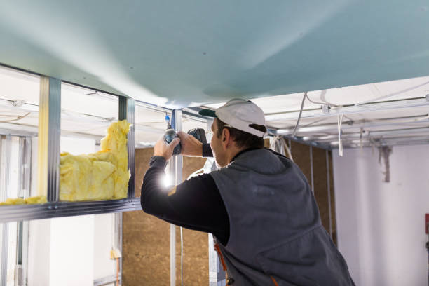 Best Insulation Maintenance and Repair in Springfield, MN