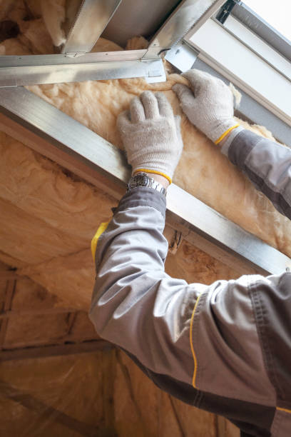 Best Residential Insulation in Springfield, MN