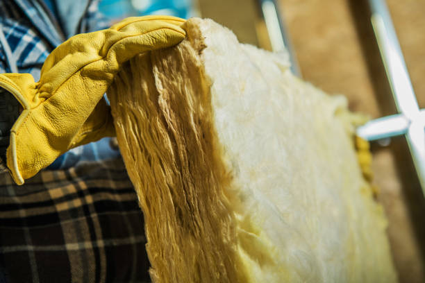 Best Insulation Installation Services in Springfield, MN